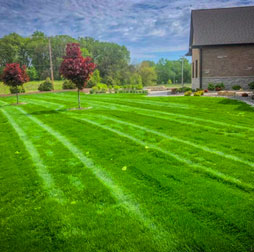 Commercial Landscape Maintenance (Mowing, Fertilization, Bush Trimming)