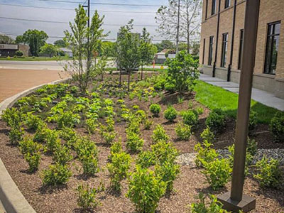 Trees & Shrubs Planting, Schererville, IN
